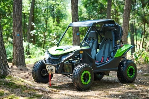 Багги UTV PROMAX Ranger 250