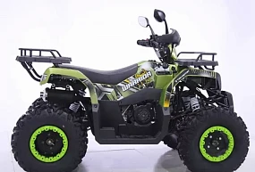 Квадроцикл YACOTA WARRIOR 200