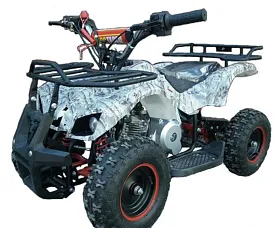 Квадроцикл ATV Target Next