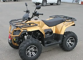 Квадроцикл IRBIS ATV250 PREMIUM