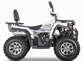 Квадроцикл YACOTA VIKING PRO 200